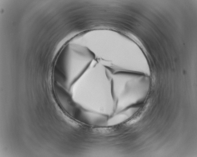 X0000062931149200602101915