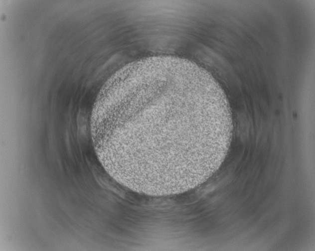 X0000062931154200602101915
