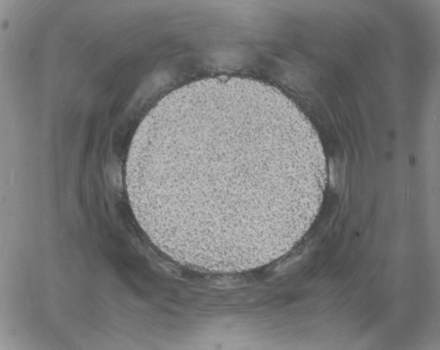 X0000062931155200602101915