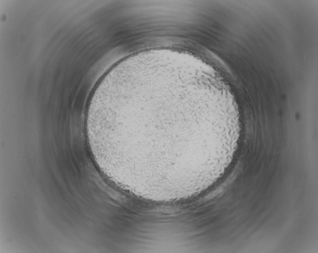 X0000062931178200602101914