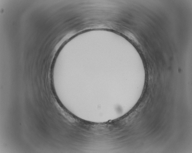 X0000062931181200602101914
