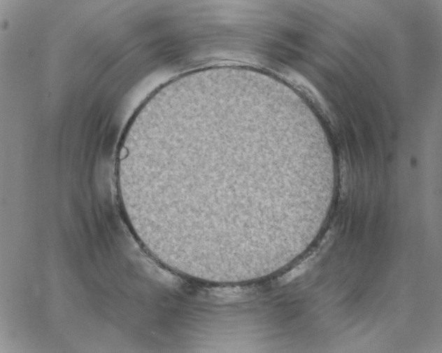 X0000062931182200602101914