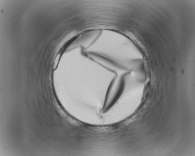 X0000062931189200602101914