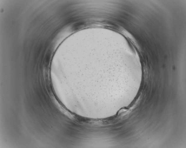 X0000062931194200602101914