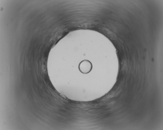 X0000062931202200602101913