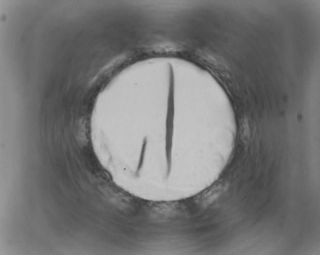 X0000062931205200602101913