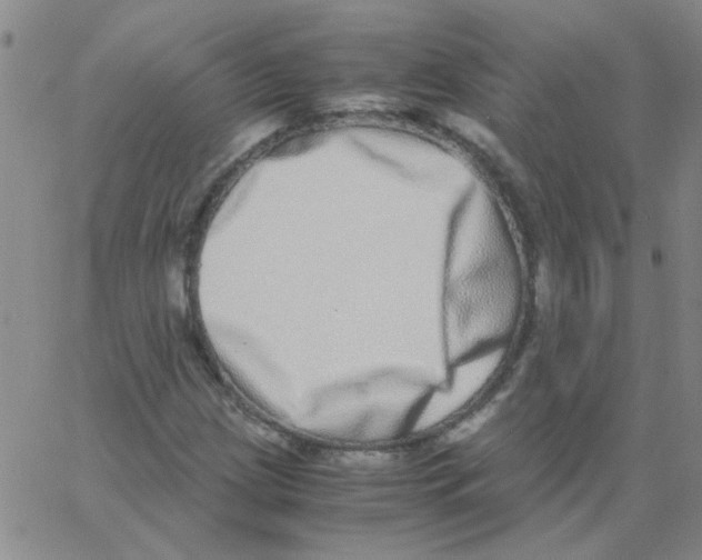 X0000062931209200602101913