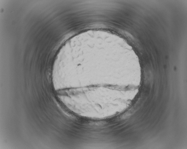 X0000062931225200602101914