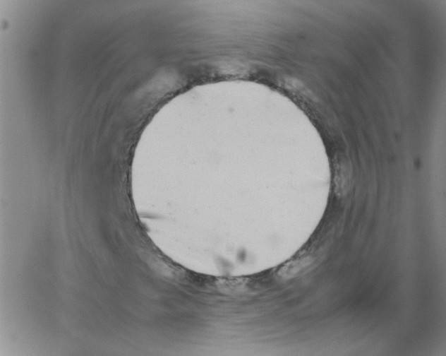 X0000062931249200602101913