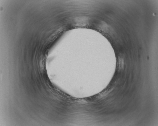 X0000062931250200602101913