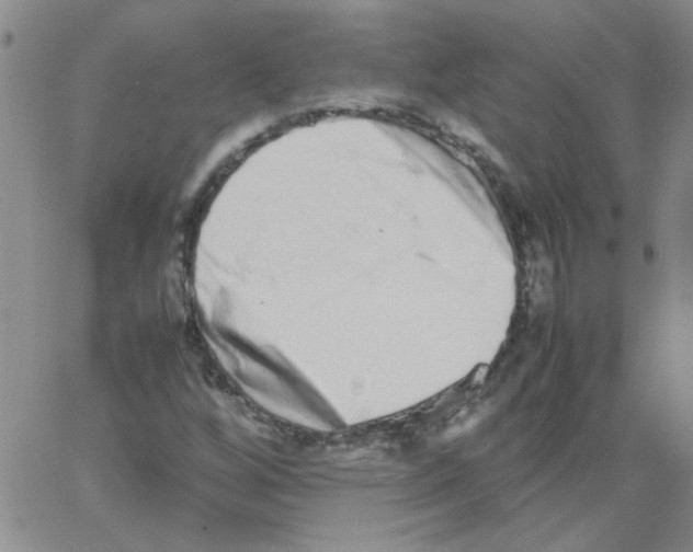 X0000062931256200602101913