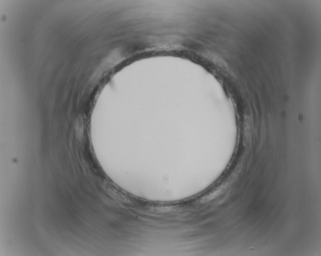 X0000062931257200602101913