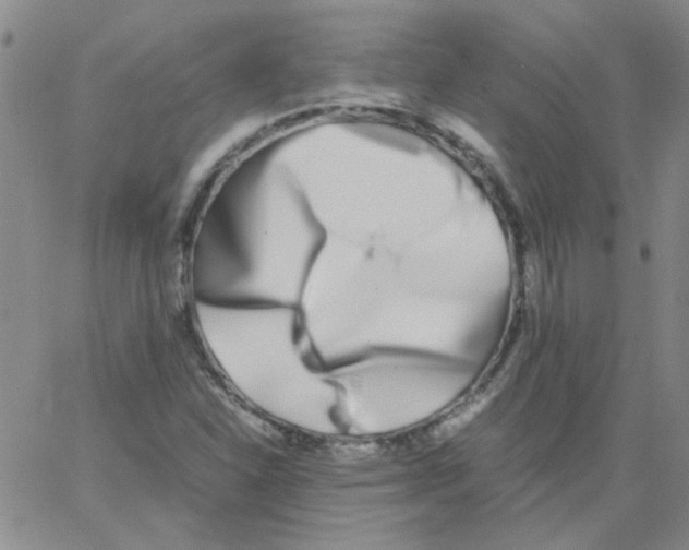 X0000062931310200602101912