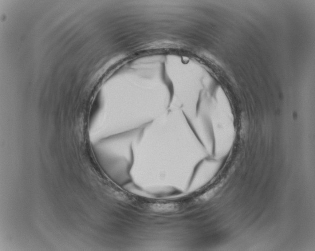X0000062931313200602101912