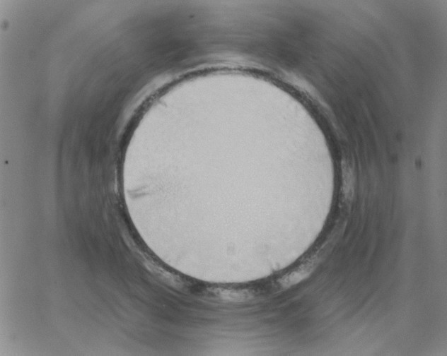 X0000062931318200602101912