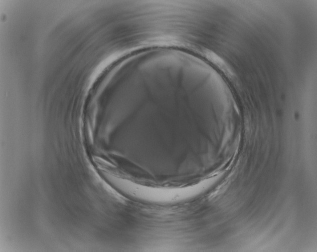 X0000062931334200602101912