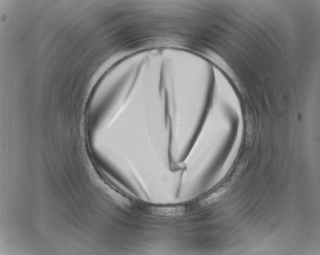 X0000062931339200602101912