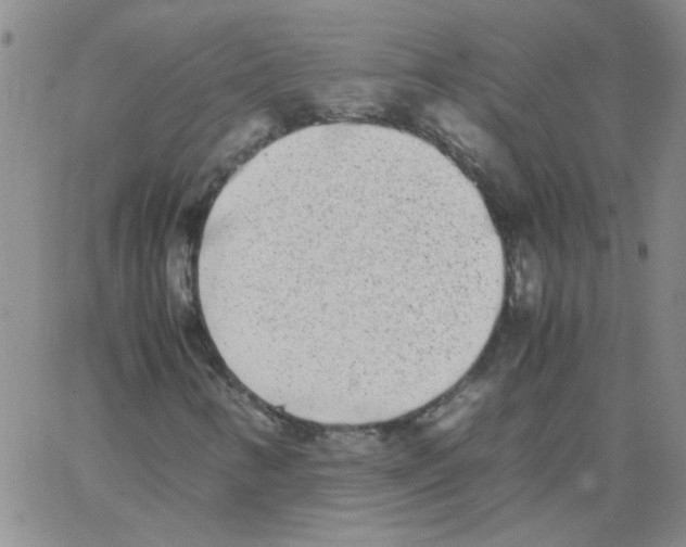 X0000062931346200602101912