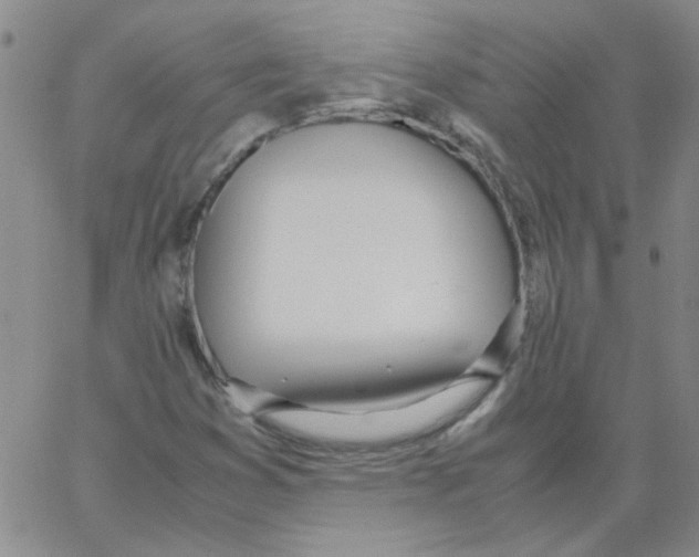 X0000062931353200602101911