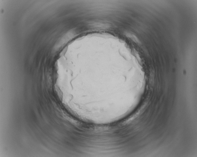 X0000062931354200602101911