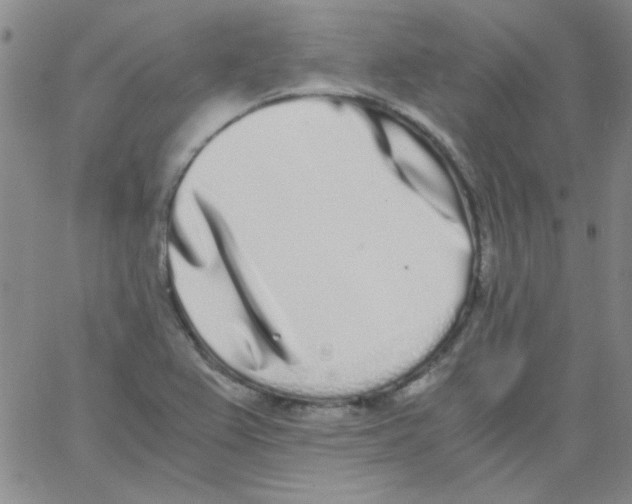 X0000062931367200602101911