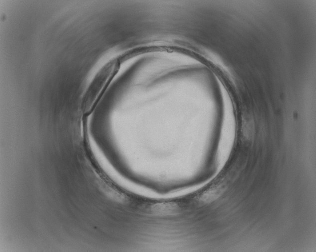 X0000062931368200602101911