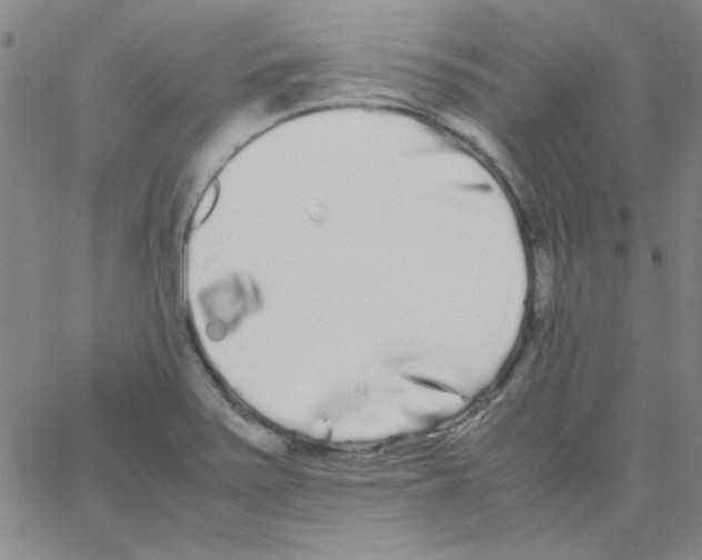 X0000062931371200602101911