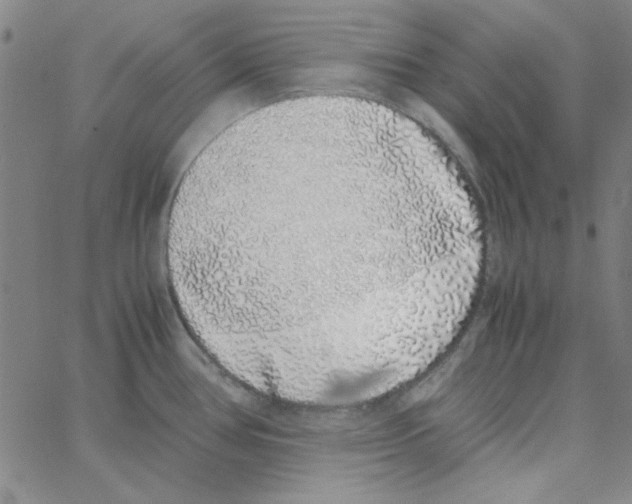 X0000062931386200602101911
