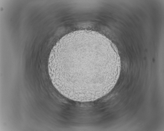 X0000062931393200602101910