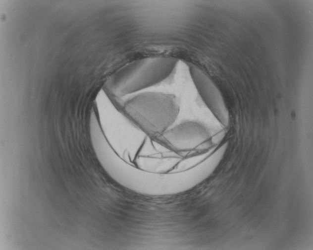 X0000062931394200602101910
