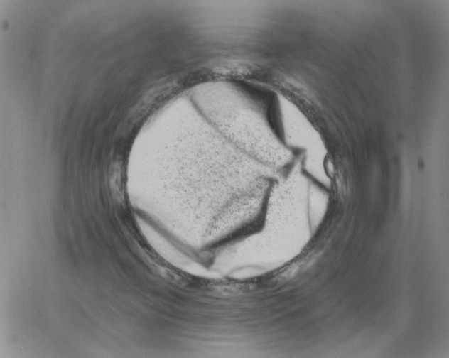 X0000062931396200602101910