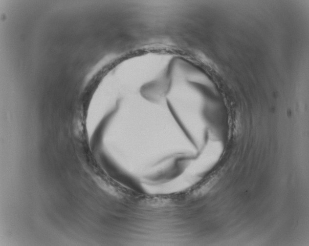 X0000062931400200602101910