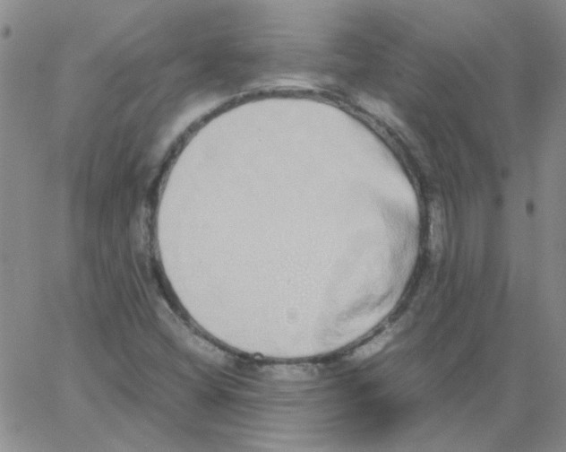 X0000062931404200602101910