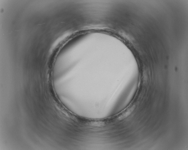 X0000062931406200602101910
