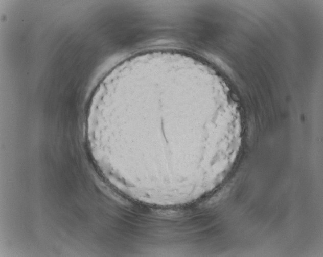 X0000062931413200602101910