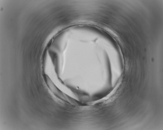 X0000062931430200602101911