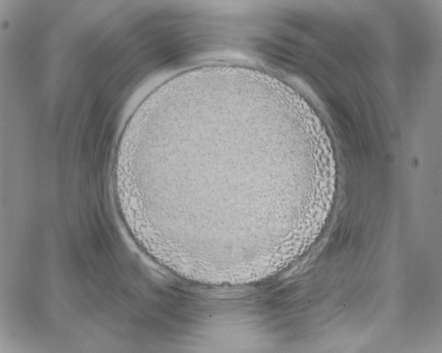 X0000062931440200602101911