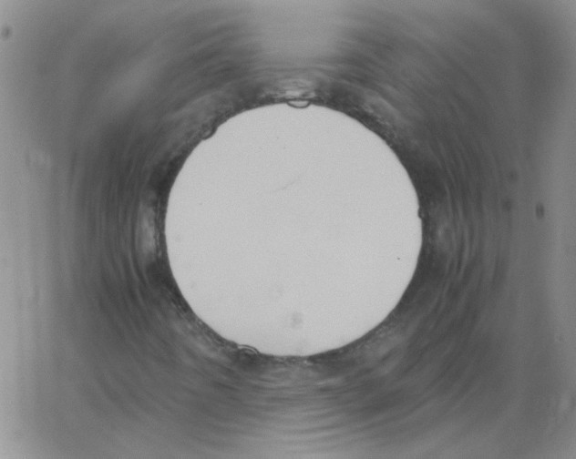 X0000062931442200602101910