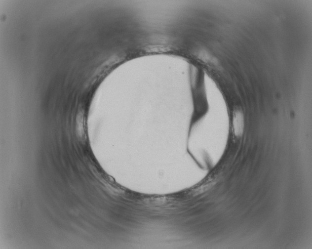 X0000062931444200602101910