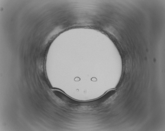 X0000062931451200602101910