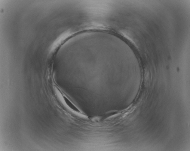 X0000062931455200602101910