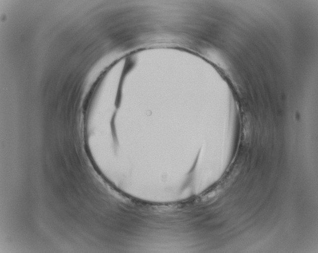 X0000062931472200602101909