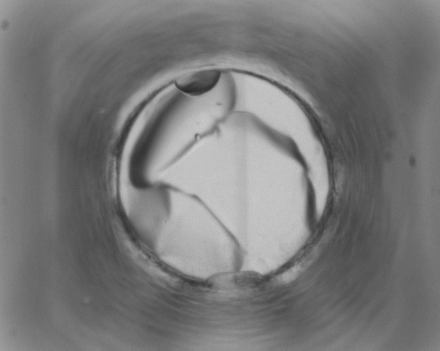 X0000062931510200602101909