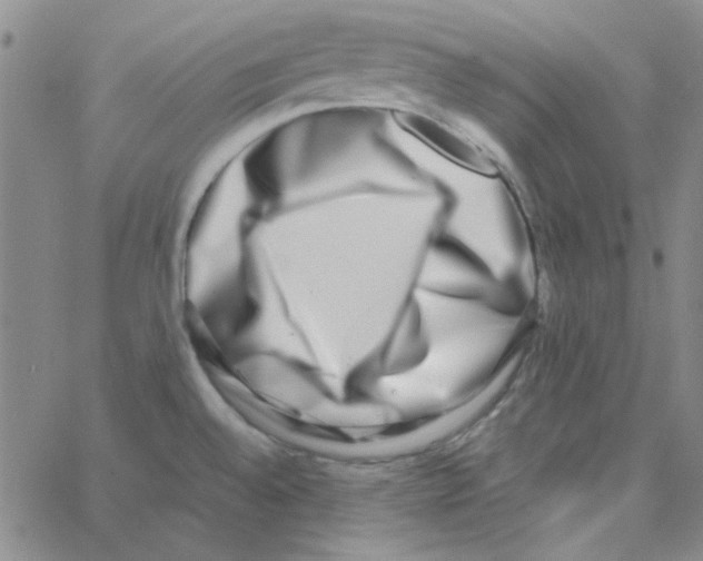 X0000062931528200602101909
