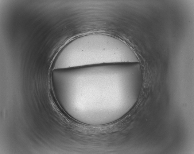 X0000063440002200601200941