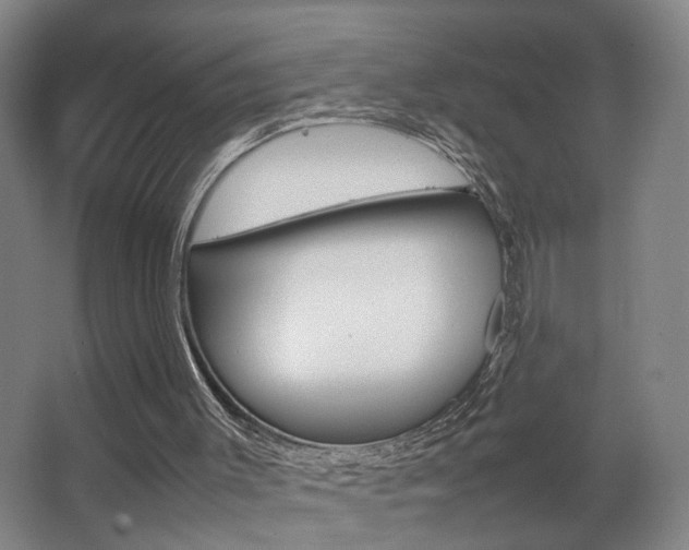 X0000063440003200601200941