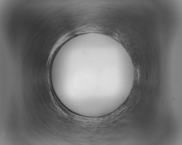 X0000063440004200601200941