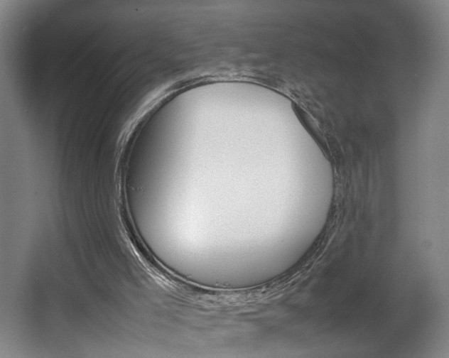 X0000063440005200601200941