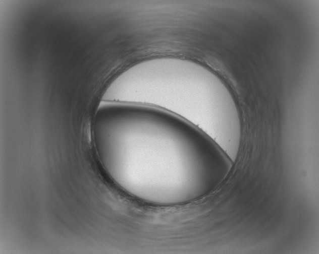 X0000063440021200601200940