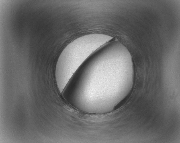 X0000063440037200601200940